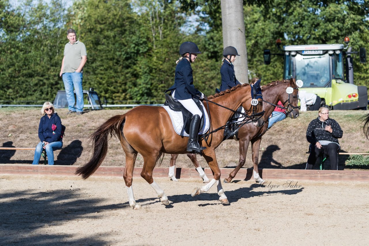 Bild 61 - Pony Akademie Turnier